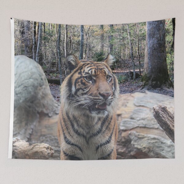 Item preview, Taking a Stand designed and sold by Bob Hardy.