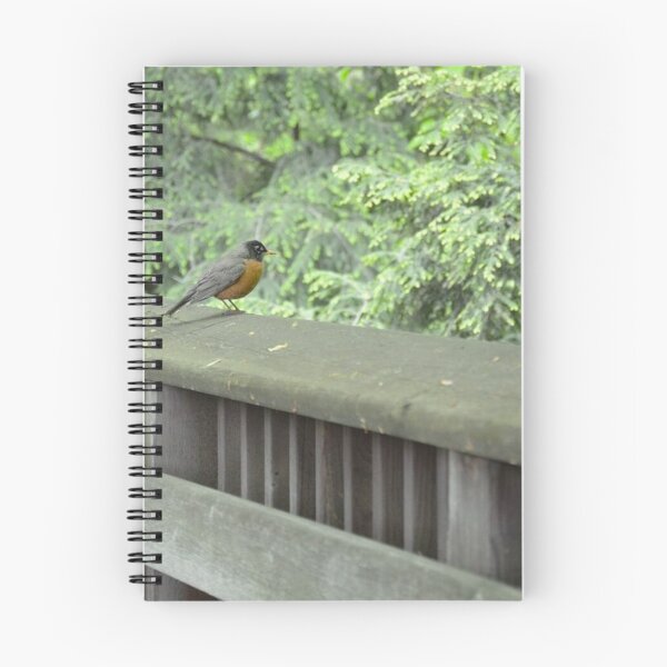 Item preview, Bird on the Ledge designed and sold by Megan Nicole Czerwinski.