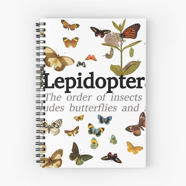 Item preview, Lepidoptera Study designed and sold by Williambeuk.