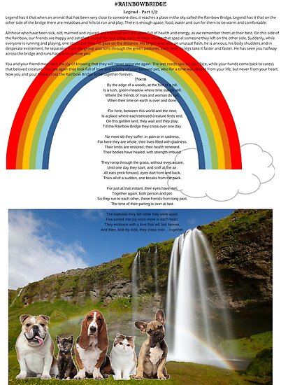 "Rainbow Bridge - Legend of pets and Poem." Poster by anonlalo | Redbubble