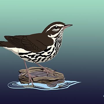 Vorschaubild zum Design Nördliche Wasserpfeife von BennuBirdy