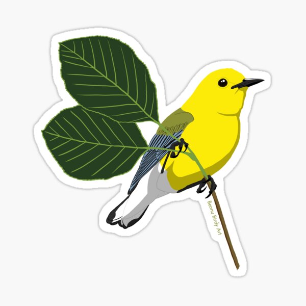 Prothonotary Warbler Sticker