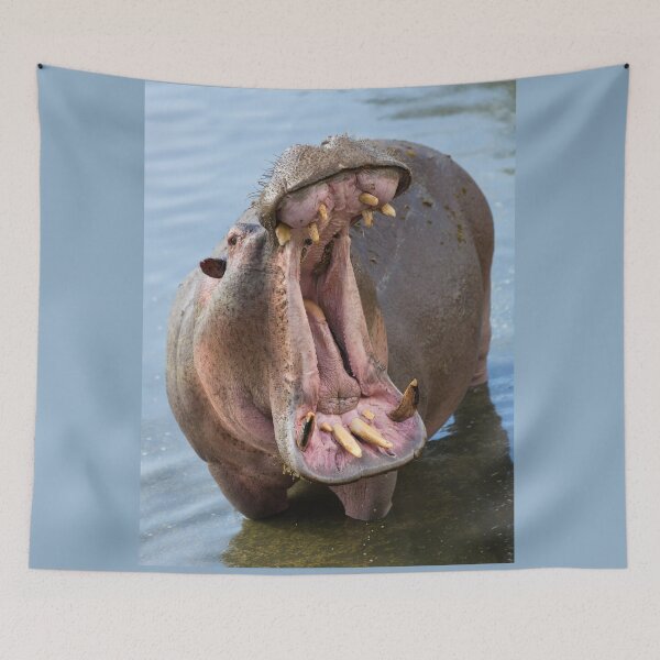 Item preview, Hippo's (Hippopotamus amphibius) Open Mouth designed and sold by Yair Karelic.