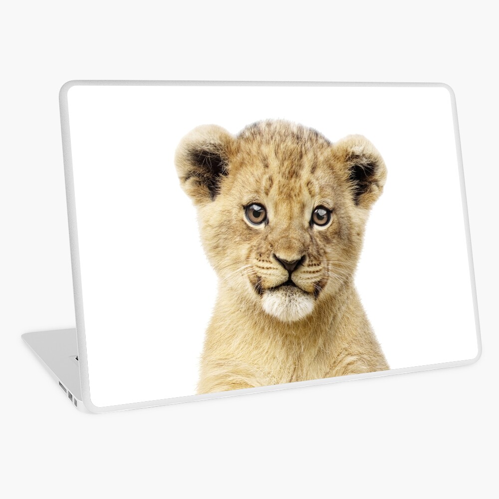 Baby Lowe Portrait Ipad Hulle Skin Von Lotusprintshop Redbubble