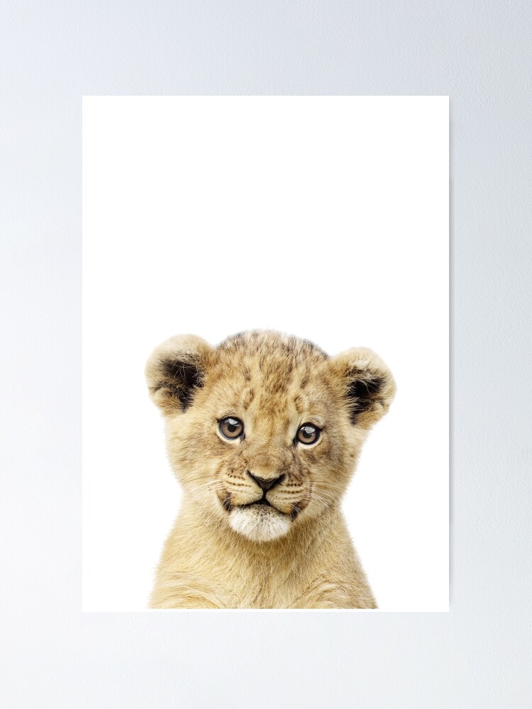 Poster Portrait De Bebe Lion Par Lotusprintshop Redbubble