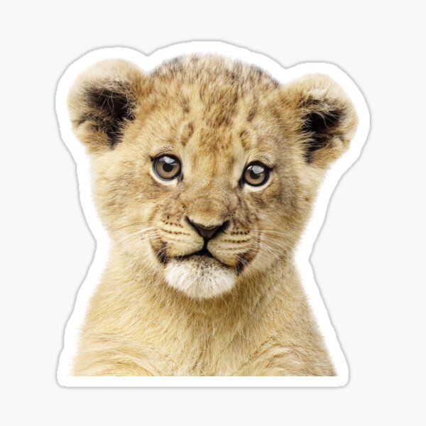 Baby Lion Portrait Sticker