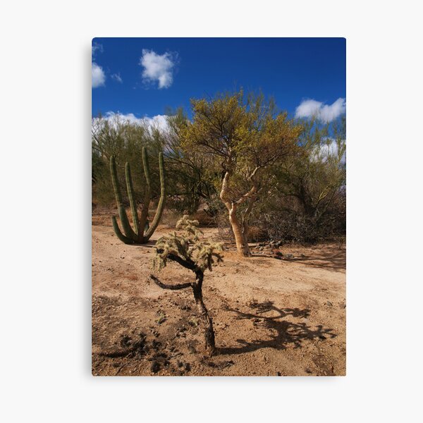 Chola Shadow Canvas Print