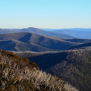 Artwork thumbnail, The View from Hotham by Georgie Hart