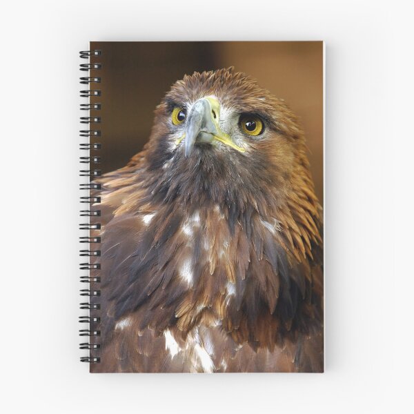 Item preview, Golden Eagle - (Aquila chrysaetos)  designed and sold by senninha.