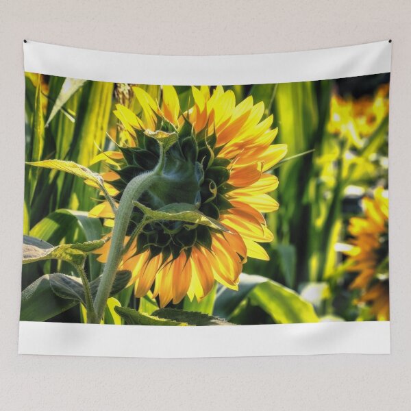 Item preview, Sunflowers 5  designed and sold by Robert Alsop.