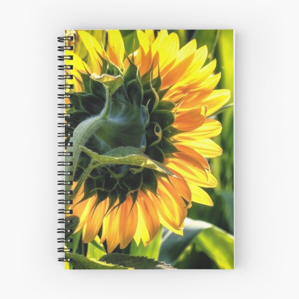 Item preview, Sunflowers 5  designed and sold by Robert Alsop.