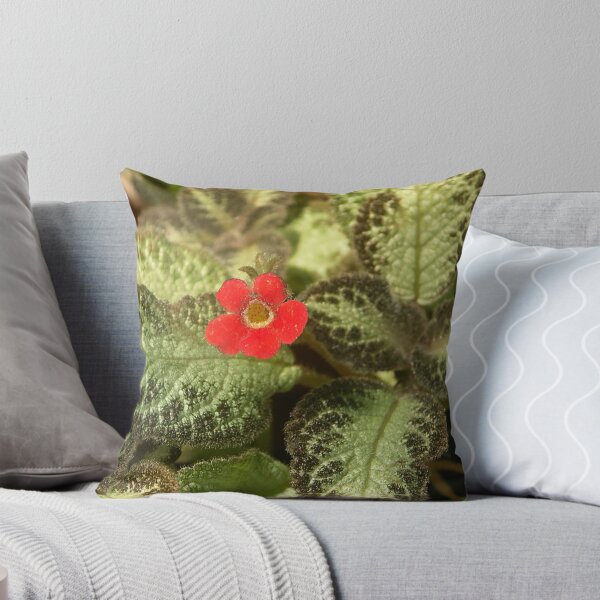 Item preview, Red and green designed and sold by houk.