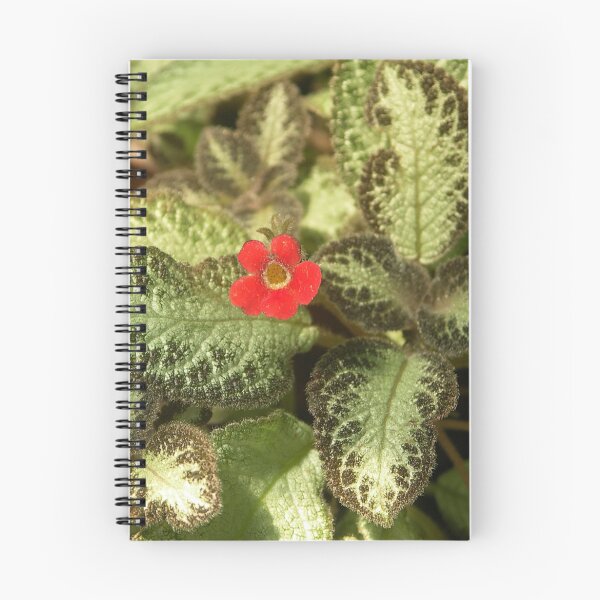 Artikelvorschau, Red and green entworfen und verkauft von houk.