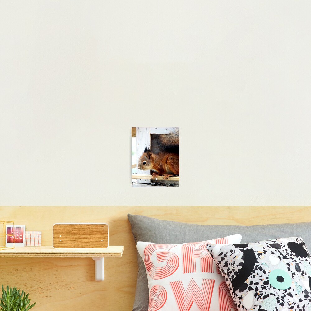 Vista previa del artículo con la obra «Lámina fotográfica», diseñado y vendido por RitvaIkonen.