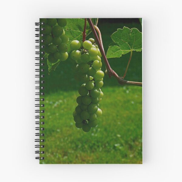 Artikelvorschau, Bunch of grapes entworfen und verkauft von houk.