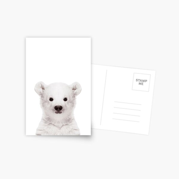 Postkarte Eisbär liegt auf dem Bauch Polar Bear 