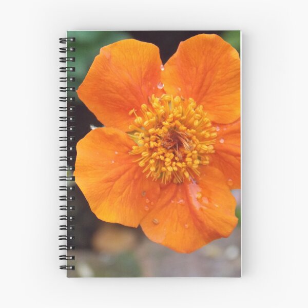 Item preview, Orange Glory designed and sold by ELUNED.