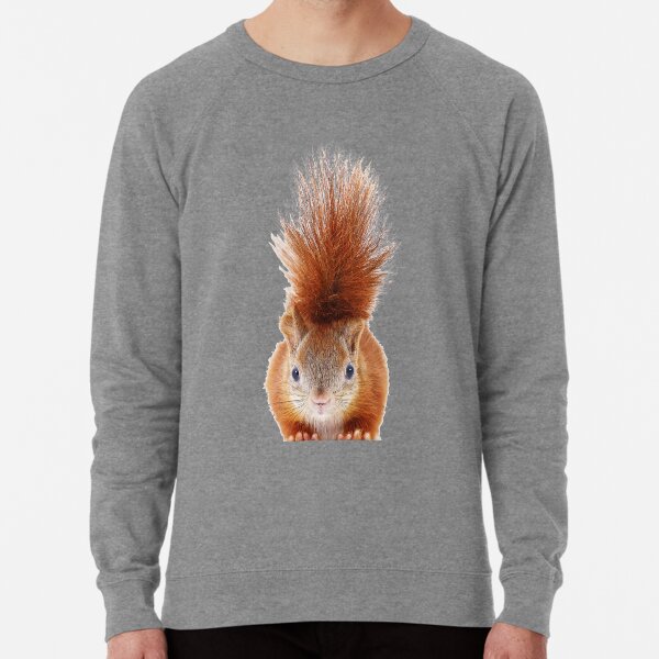 Minimalist Art Sweatshirts Hoodies For Sale Redbubble