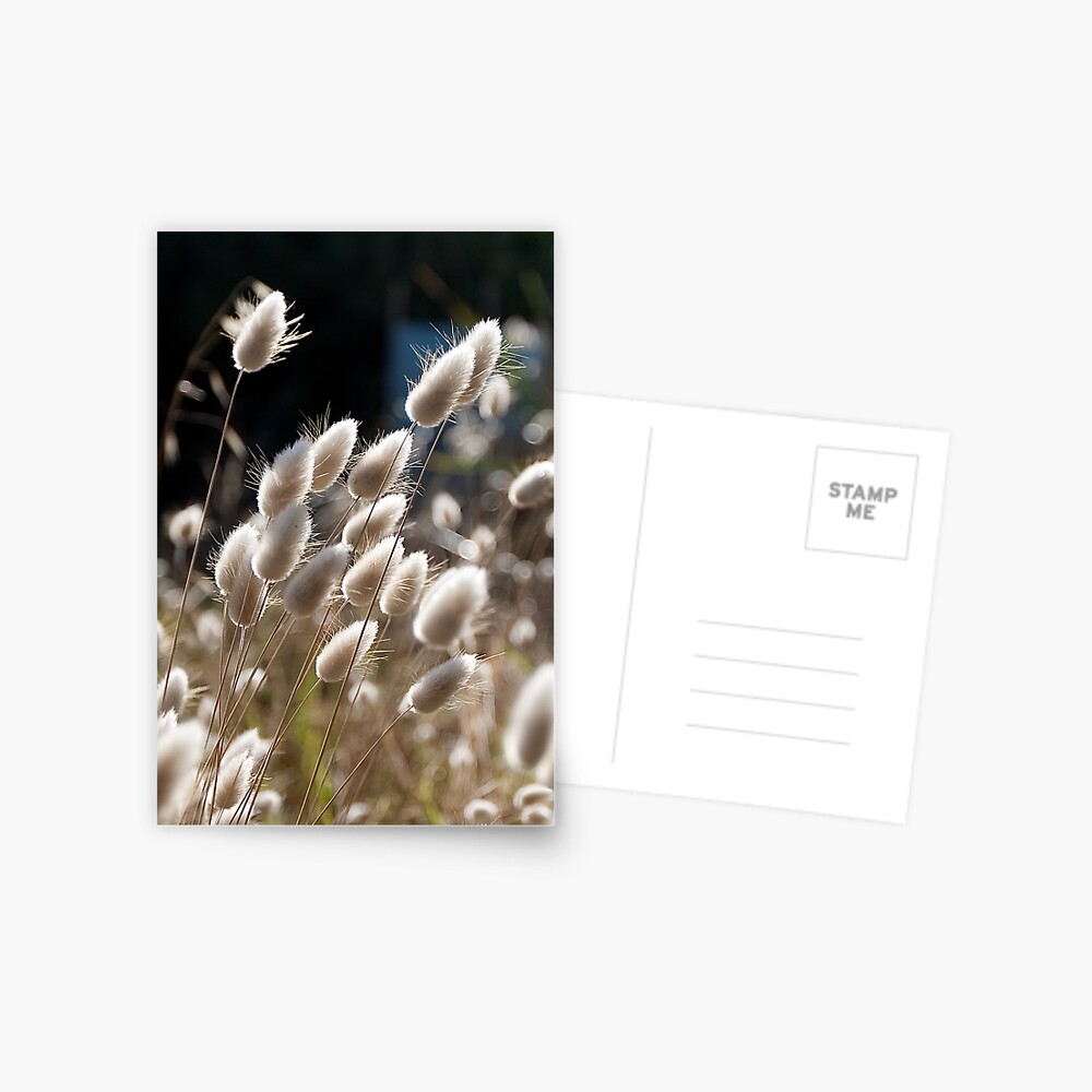 Item preview, Postcard designed and sold by moronif.
