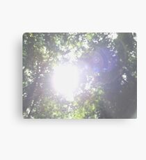 Sunlight Metal Print
