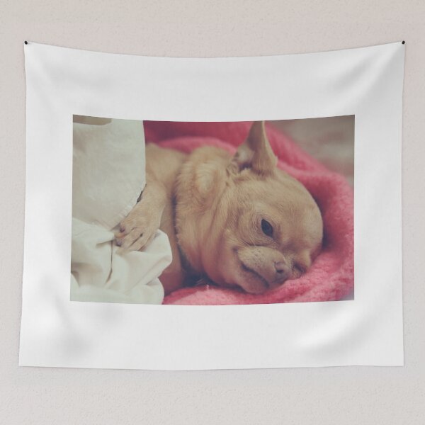 Item preview, Chillin' designed and sold by Laurie Search Fine Art Photography.