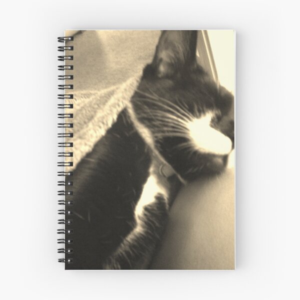Item preview, Sleeping Cat designed and sold by emmaf4rr.