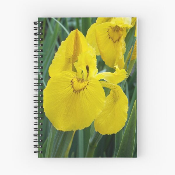 Item preview, Iris amarillo designed and sold by ELUNED.