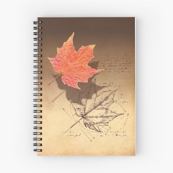 Item preview, Fall, Deconstructed designed and sold by SymbolGrafix.