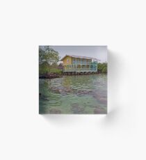 Panama. Bocas del Toro. Coral reef. Acrylic Block