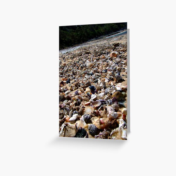 shell beach Greeting Card