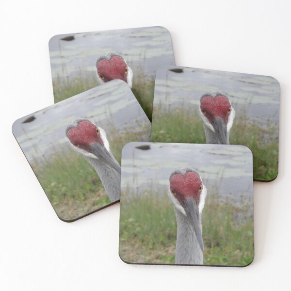 Item preview, Sandhill Crane - Looking At You by Orikall designed and sold by HippieWorks.