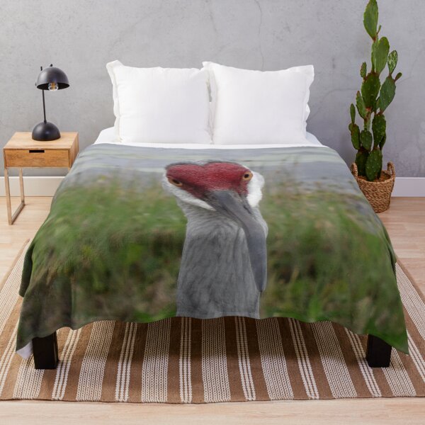 Item preview, Sandhill Crane - Looking At You by Orikall designed and sold by HippieWorks.