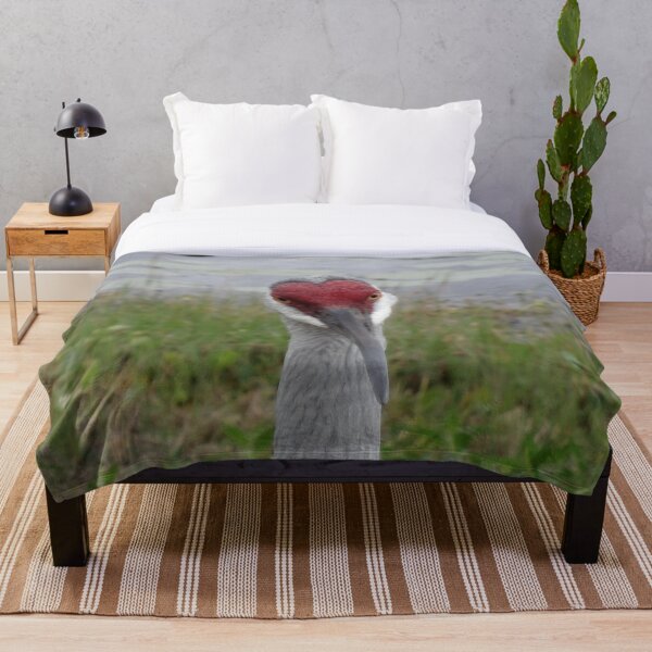 Item preview, Sandhill Crane - Looking At You by Orikall designed and sold by HippieWorks.