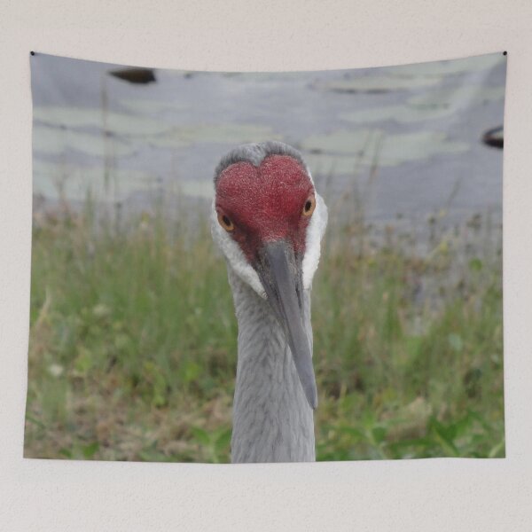 Item preview, Sandhill Crane - Looking At You by Orikall designed and sold by HippieWorks.