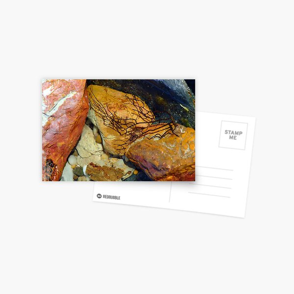 rock art Postcard