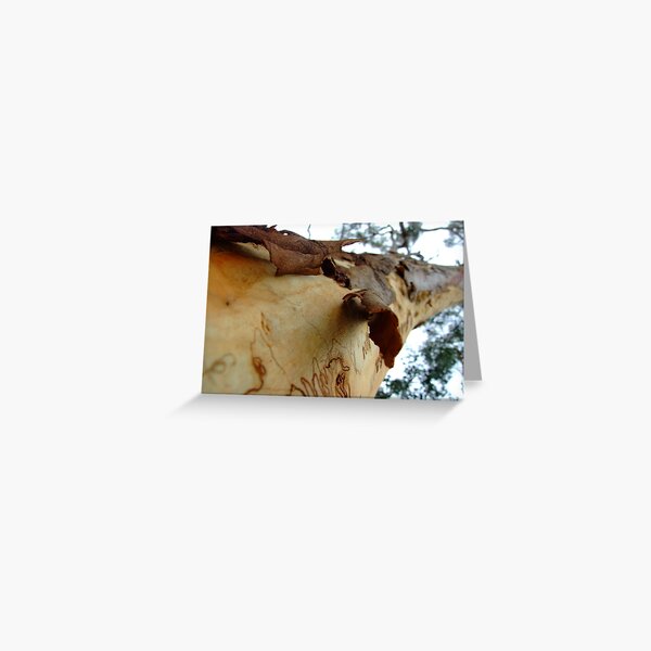 undressing Greeting Card