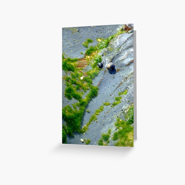 moss art Greeting Card
