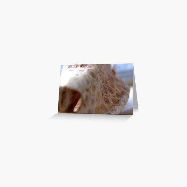 puffa fish Greeting Card