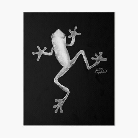 Red Eyed Tree Frog Art Board Print