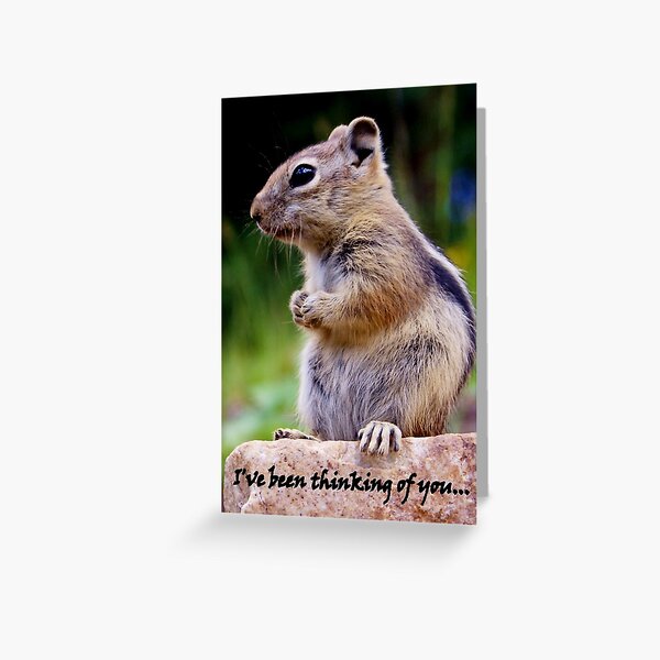 Thinking of You Greeting Card