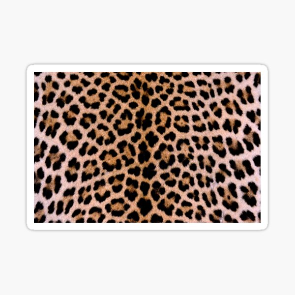 Item preview, Cheetah Print  designed and sold by newburyboutique.