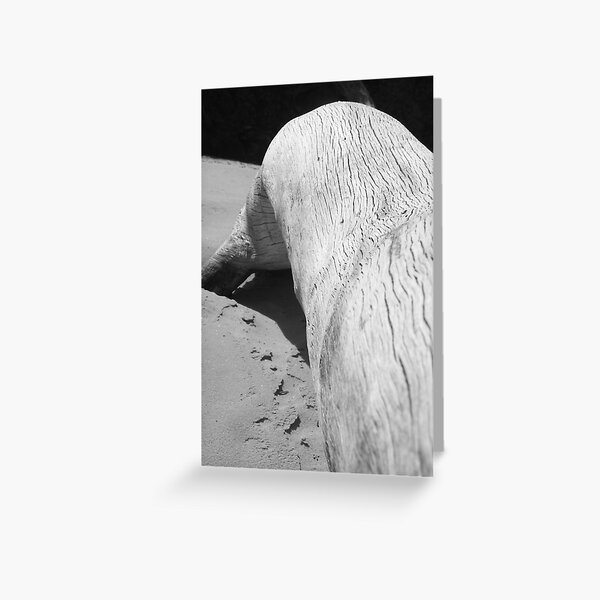 log art Greeting Card
