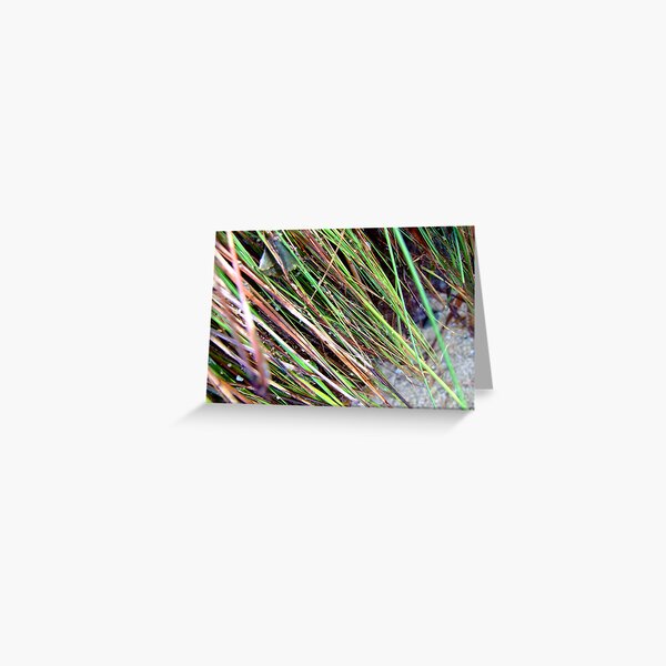 dripping Greeting Card