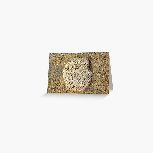 coral on sand Greeting Card
