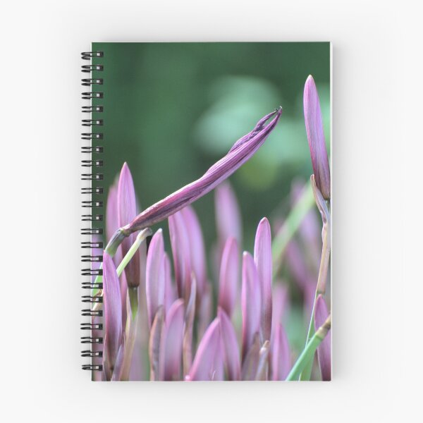 Item preview, Bowing Out designed and sold by Donna Wilkins.