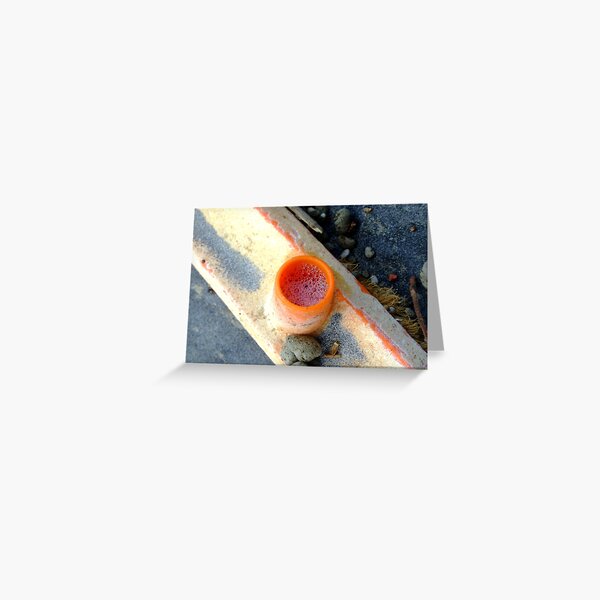 Washed up Greeting Card