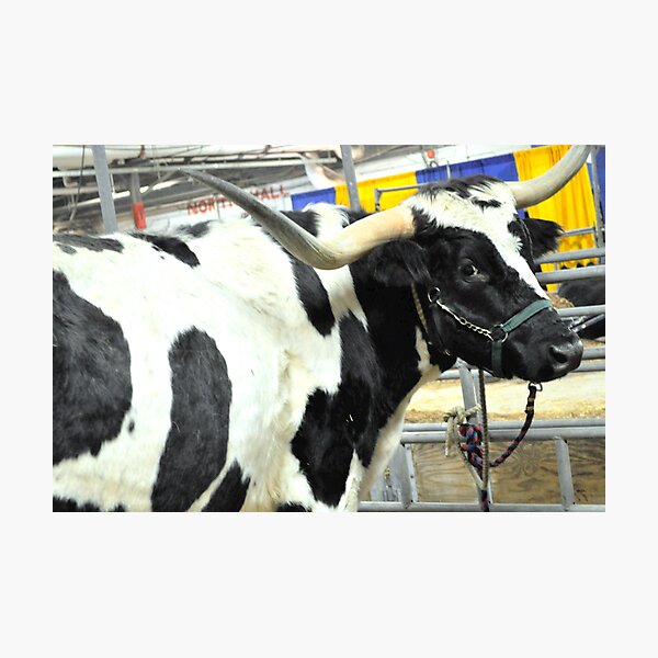 Artikelvorschau, What are YOU looking at??? entworfen und verkauft von Corkle.