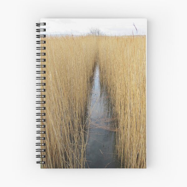 Item preview, Grass designed and sold by snadin.