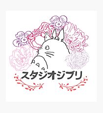 Studio Ghibli~ Totoro Photographic Print