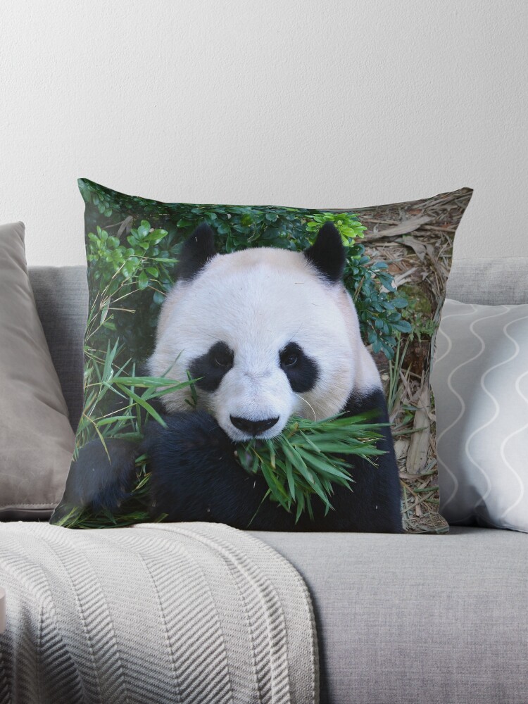 Throw Pillow giant panda while eating bamboo 